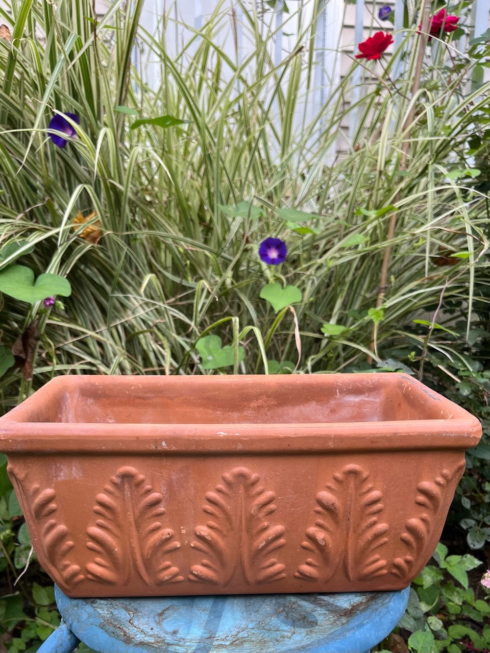 Vtg Deroma Terracotta Window Box Planter 13" Acanthus Leaf Italy Clay Pot READ